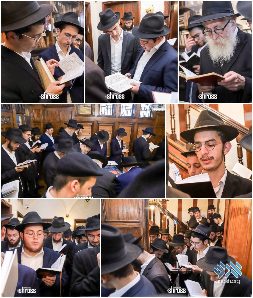 Morning Selichos Recited In The Rebbes Room Anash Org