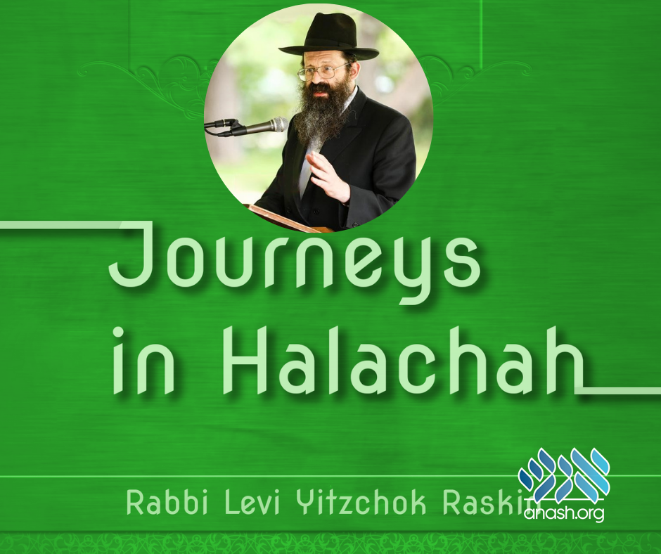 New Book Explores Halachic Queries - Anash.org