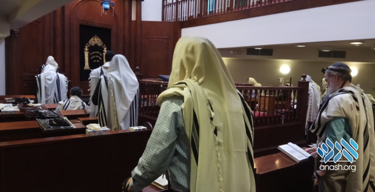 Jewish Bergenfield: Inspired by the Rebbe