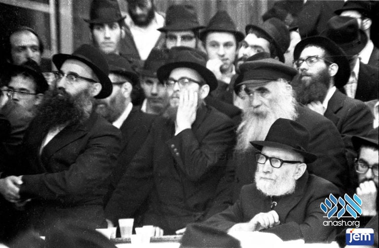 With Reb Dovid Raskin, Reb Mendel Futerfas, and yblch"t Reb Yisroel Friedman