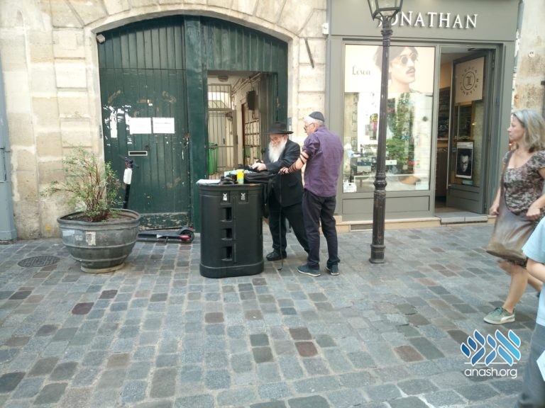 Wedding: Shemtov – Arnauve