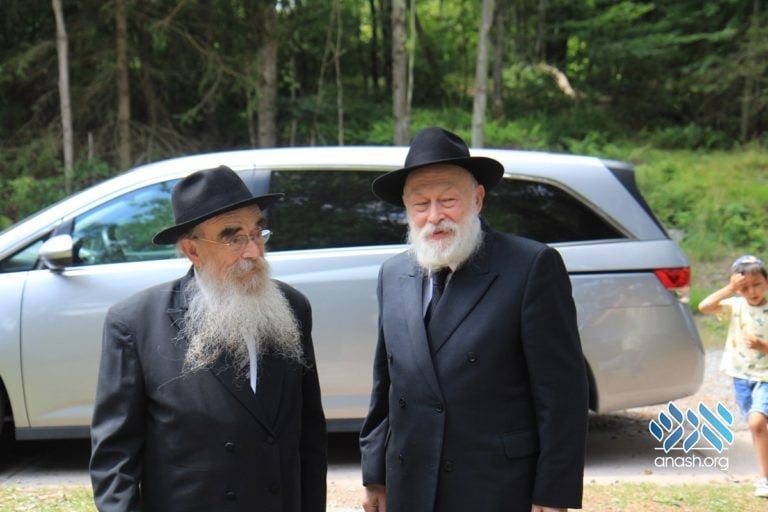 A New Staff Zal For Gan Yisroel
