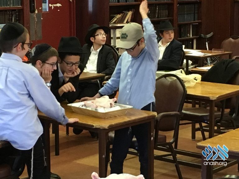 Tzeirei Hatmimim Hosts Rosh Yeshiva