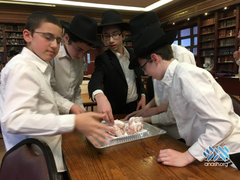 Tzeirei Hatmimim Hosts Rosh Yeshiva