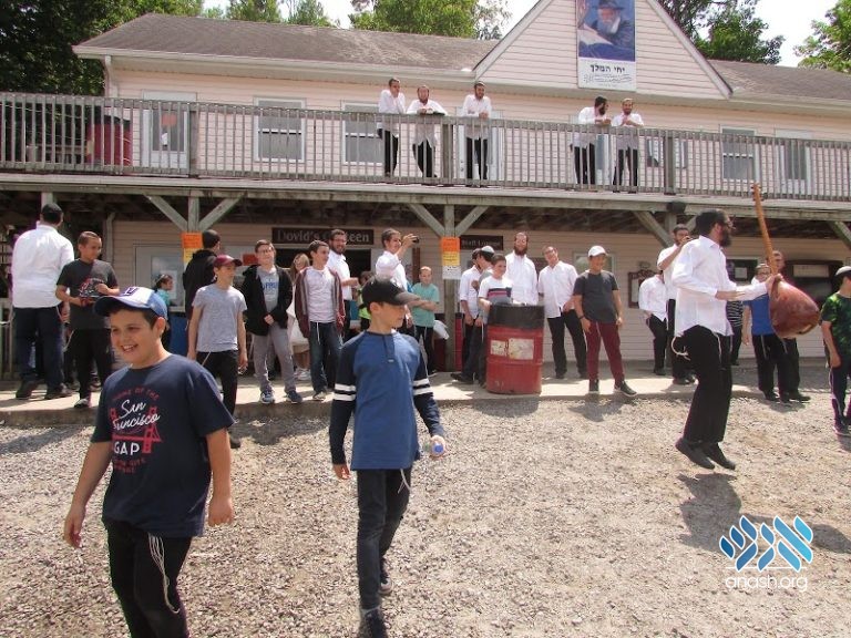 Parents and Children Enjoy Day Together