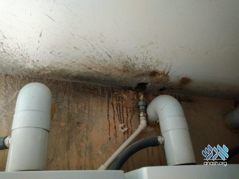 Kostroma Shul in State of Disrepair