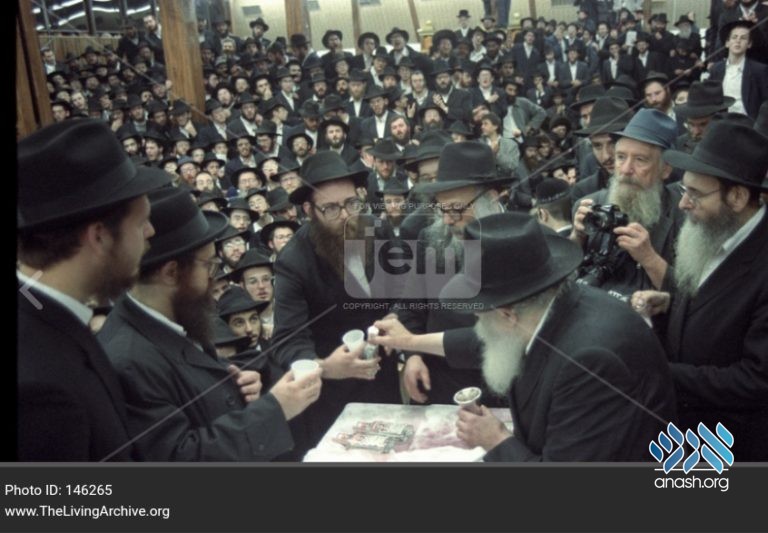 BDE: Rabbi Chaim Levi Yitzchok Ginzburg, A”H