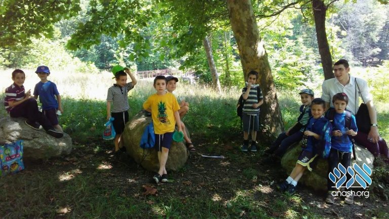 Summer Sensation in Monsey