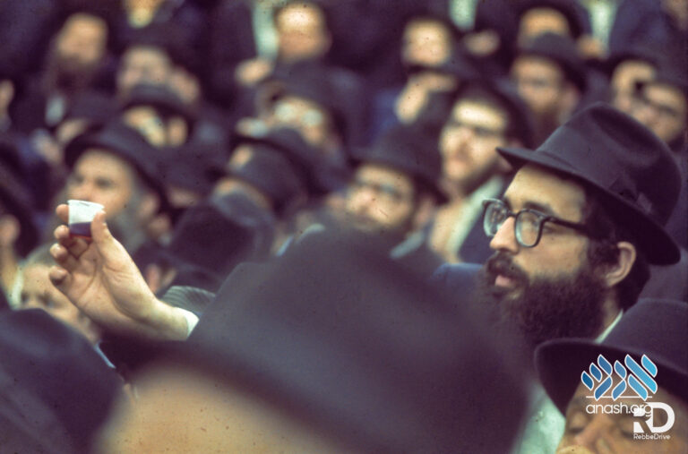 Gallery: Lubavitch in the 70’s