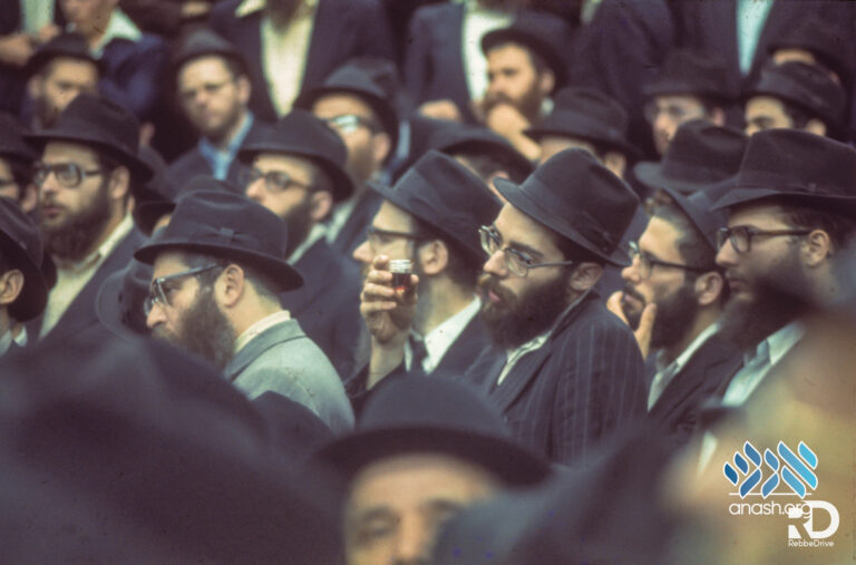 Gallery: Lubavitch in the 70’s