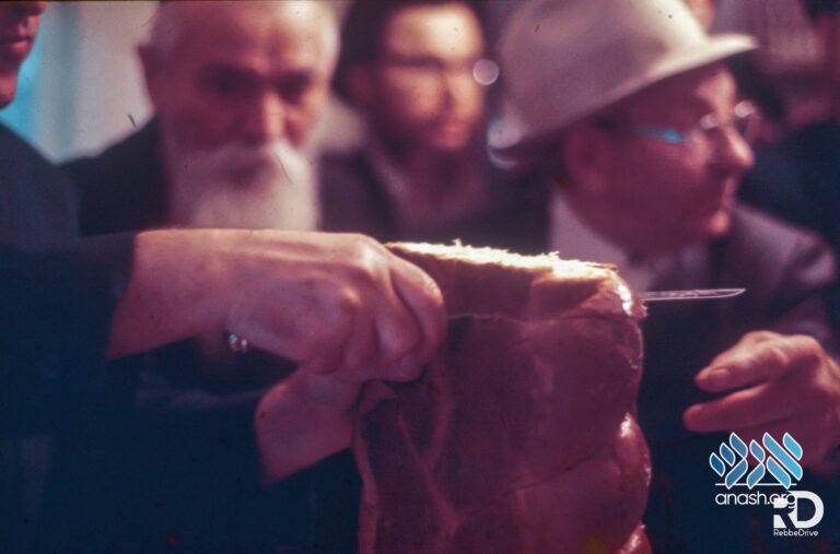 Gallery: Lubavitch in the 70’s