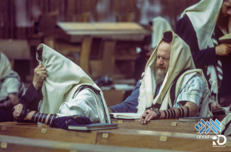 Gallery: Lubavitch in the 70’s