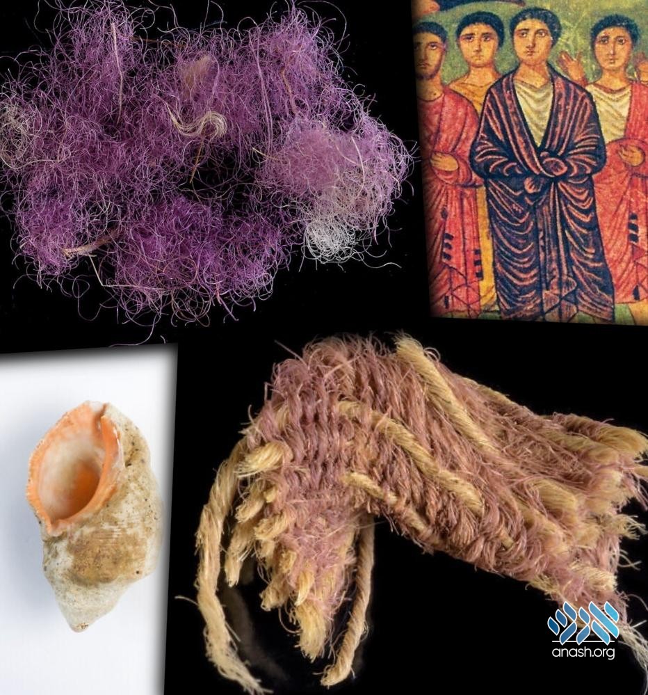Rare Purple Dye Discovered in Ancient Fabric