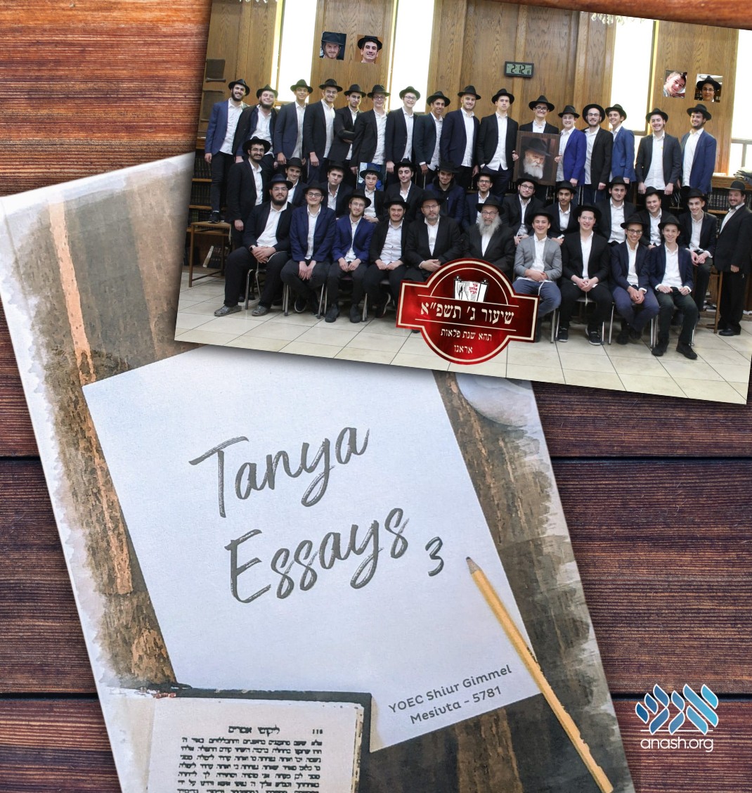 How to make essays longer image