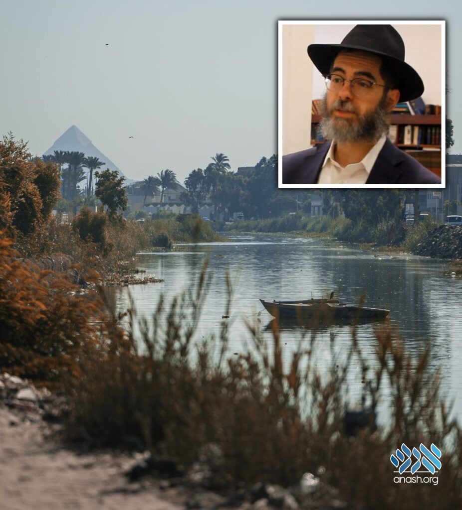 Can You Swim the Nile River?