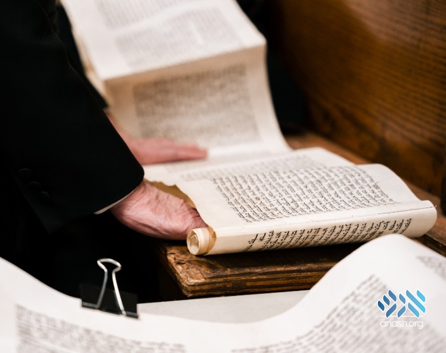 AtHome Megillah Readings Offered in Crown Heights