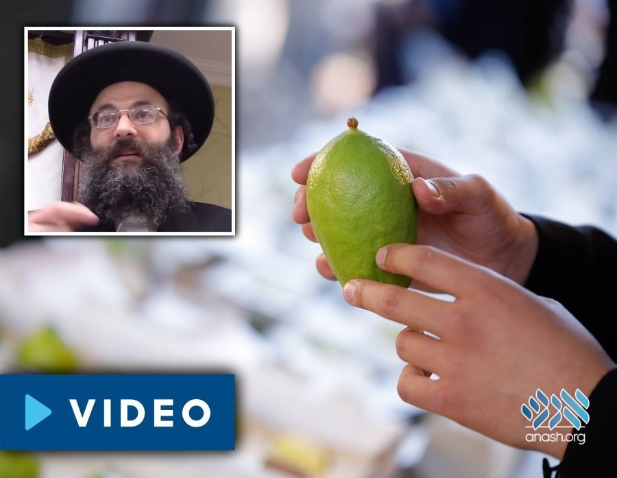 Romantik anal porno Katta kokrak porno styuardessa