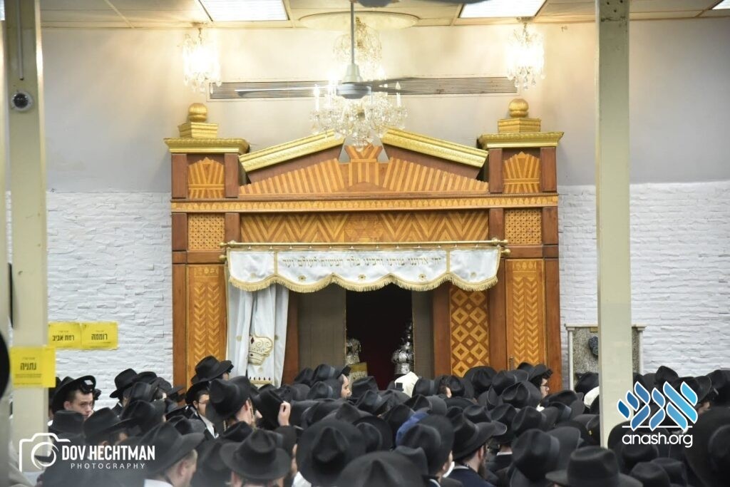 Misrda klitoris olib tashlanadi.