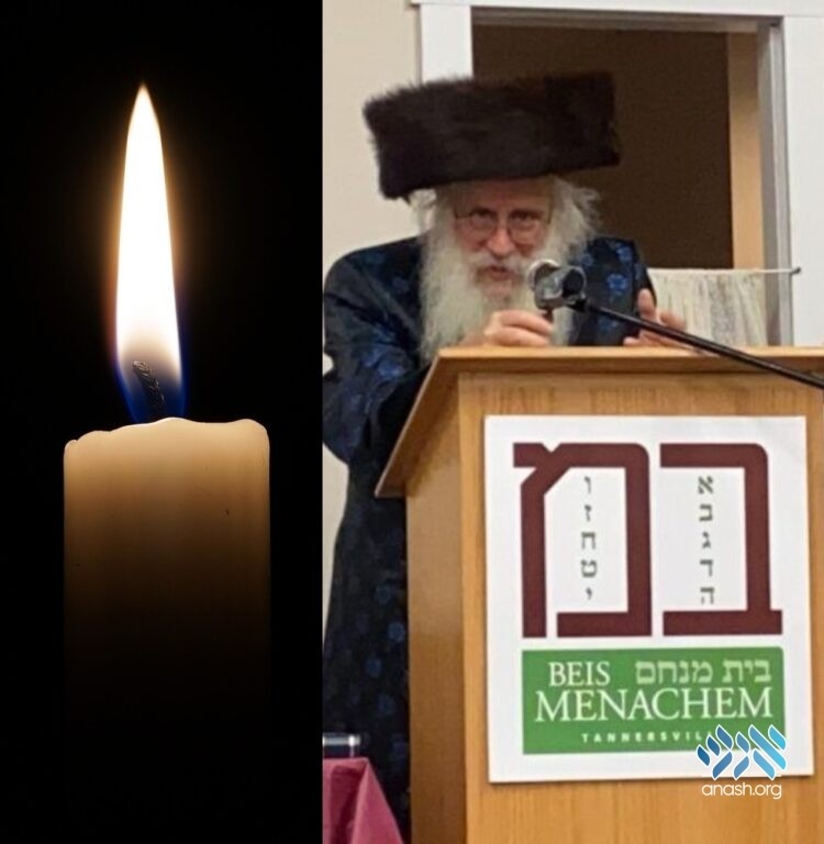 Harav Pinchas Dovid Horowitz, Bostoner Rebbe of Flatbush, 78