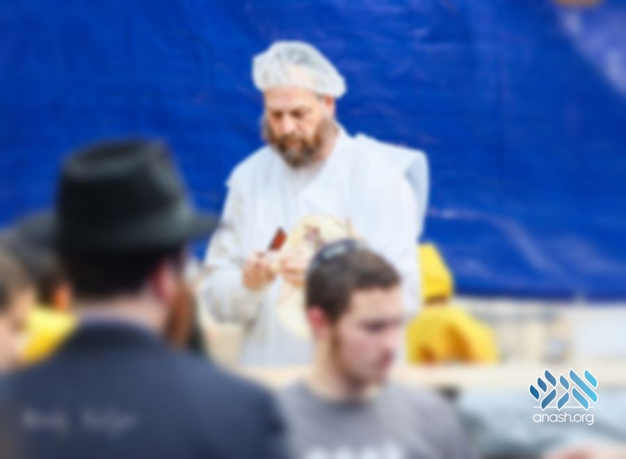 “Lubavitcher Shechita” - Anash.org