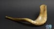 Shofar with a Crack or a Hole?