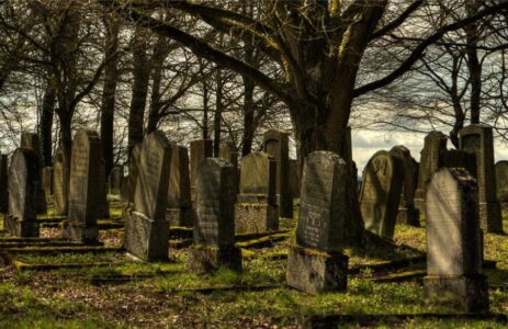 He Sent His Shamash To Take Stones From The Graves - Anash.org