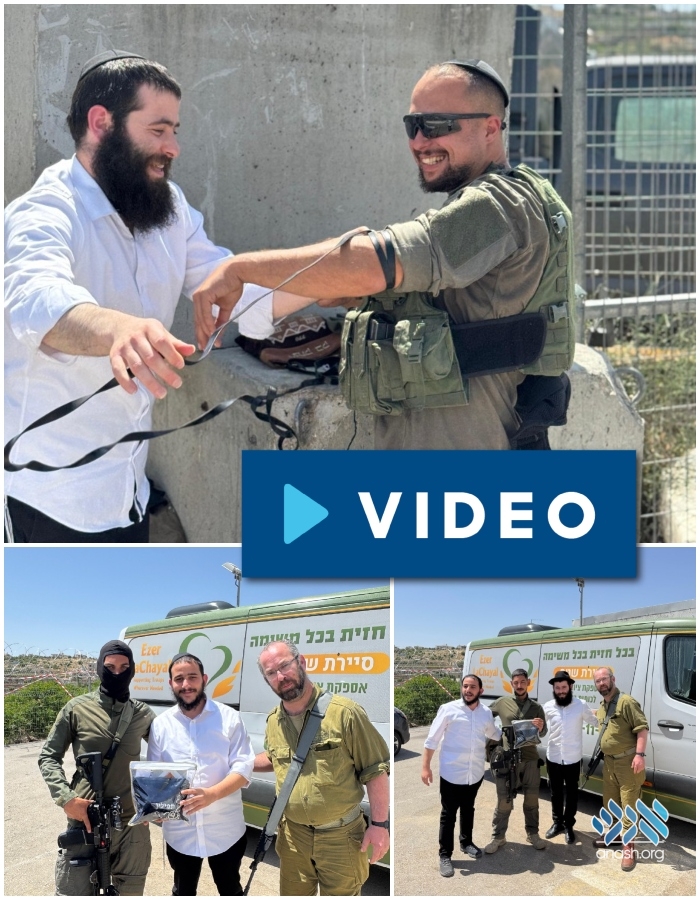 anash.org