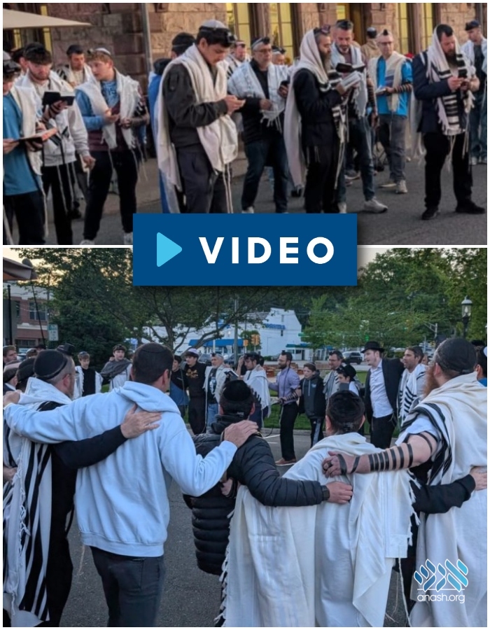 anash.org