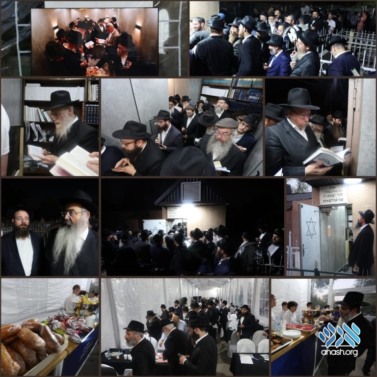 anash.org