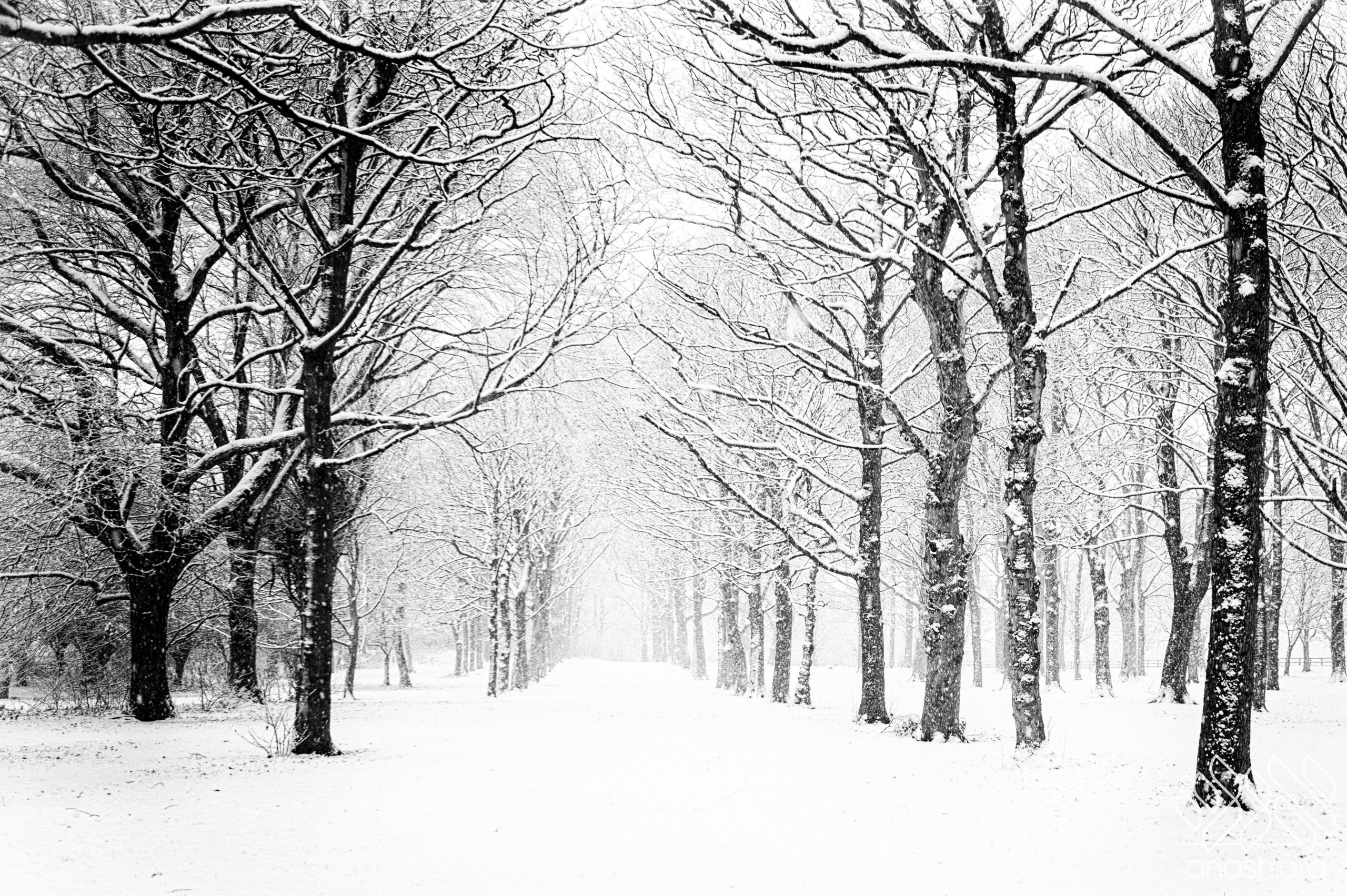 Tri-State Faces Fast-Moving Weekend Snowstorm | Anash.org